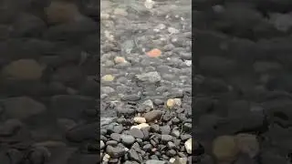Дудинка! Енисей!!!