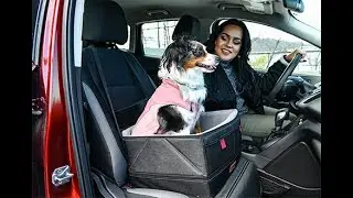 Pet Booster Seat
