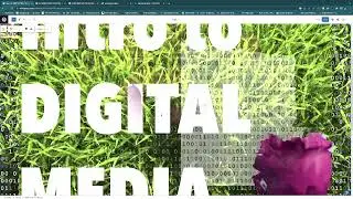 WORDPRESS EXERCISE 4