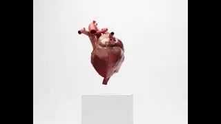 Blender Render - Heart Beat