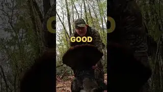 Pro turkey hunting tip 🤣🤣 #hunting #viral #turkey #tips #tipsandtricks