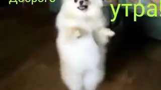 С добрым утром