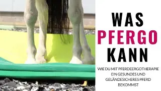 Pfergo -  Das Interview. Wie du ein geländesicheres und gut balanciertes Pferd bekommst.
