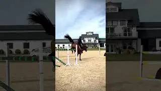 What a great clip of Quiberon #jumping this morning! 2024 breed contract is @ PE3S.com #stallion