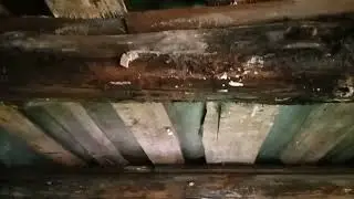 Хранилище для БМВК свиней? Для чего модернизация сарая