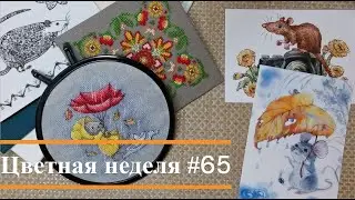Цветная неделя 65 // 01.08.2024 - 14.08.2024. Панна, ССР, К. Дмитриева, А. Петунова