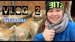 VLOG #2 Vivianne - Schapen naar binnen
