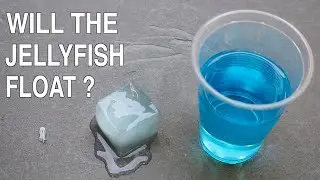 Can You Cast a Jellyfish in Ice in Epoxy Resin ?
