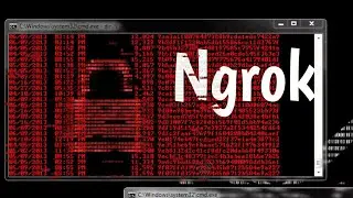 Termux Termux Termux NGROK|Hack