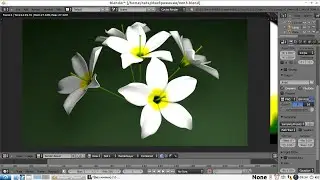 Flowers 3D. Blender Tutorial for Beginners