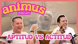 ANIMUS Ep 9: Aptitud vs actitud