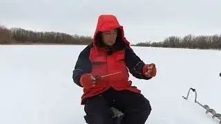 На рыбалку с ПРОФИ (Азы безмотылки)