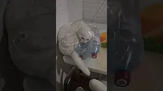 С ней всё хорошо! Она любит так залазить...