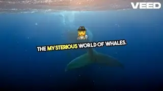 Unraveling the Enigma of Majestic Whales | Did You Know