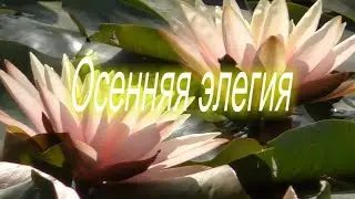 Крым. Осенняя элегия.