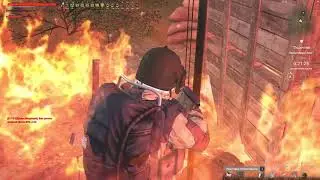 Stalkeronline \ Wolfpack  что вы такое?