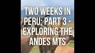 Exploring the Andes - Machu Picchu, the Sacred Valley and Endless Vomiting
