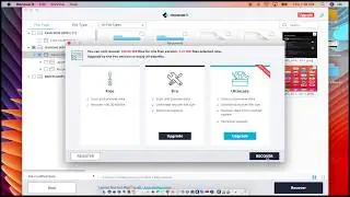 Free Deleted Data Recovery for Your PC & Mac