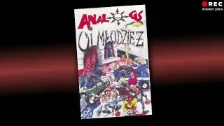 3MINS🔴REC ✯ the analogs ✯ oi! młodzież ✯ guitar.add & cover.up 🤘‍ + text