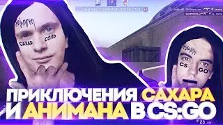 ПРИКЛЮЧЕНИЯ САХАРА И АНИМАНА В CS:GO