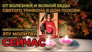 A short evening prayer for the night to St. Tryphon for help and for healing from diseases.