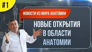 Новости анатомии. Новые открытия в области анатомии