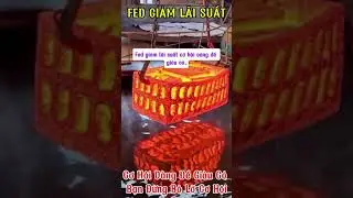 FED GIẢM LÃI SUẤT Cơ Hội Vàng Giúp Bạn Đạt Được Sự Giàu Có - Phải Hành Động Ngay