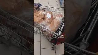 ВЕРНЫЙ ВСЕГДА ТРАВИТ #питер