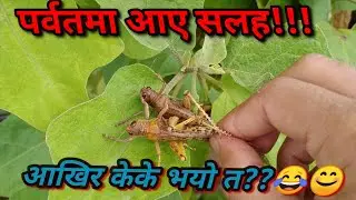 !!!PARBAT MA AAYE SALAHA KIRA!!! AAKHIR K K BHAYO TA!!!