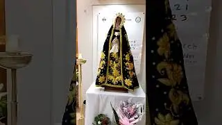 Mahal Na Birhen ipanalangin Mo po kami #holymary #pray #catholicfaith #devotional #faith #short