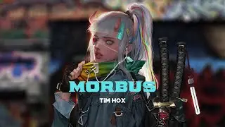 Tim Hox - Morbus (Official Video Lyrics)