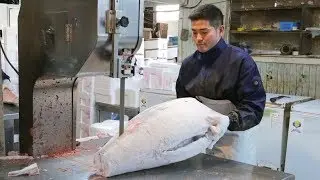 Amazing Cutting Frozen Whole Tuna in Japanese Fish Market!