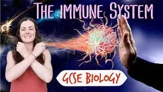 The immune system - GCSE Biology (Revision for 2020)
