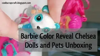 Barbie Color Reveal Chelsea Doll & Pets Unboxing