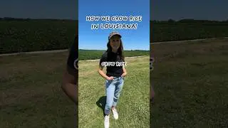 STEP-BY-STEP HOW WE GROW RICE IN LOUISIANA 🌾🐊 