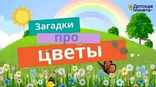 ЗАГАДКИ ПРО ЦВЕТЫ