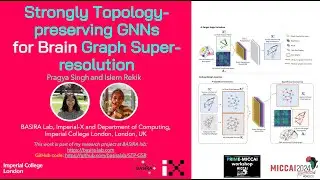 Topology-Preserving GNNs for Brain Graph Super-Resolution | Distinguished* MSc | PRIME MICCAI 2024