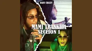 SECCION 01