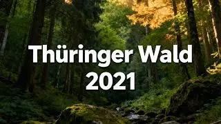 Thüringer Wald 2021