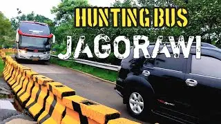 🔴 Hunting Bus Di JAGORAWI