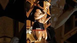 The Most Effective Way 🔥 To Build QUADS by Tom Platz Technique In Squat Hack Machine #bodybuilding