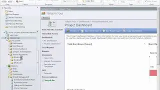 TeamCompanion - SharePoint Document Libraries and Reports Integration