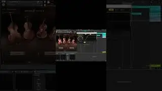 Ableton - Multiple Plugin Display 