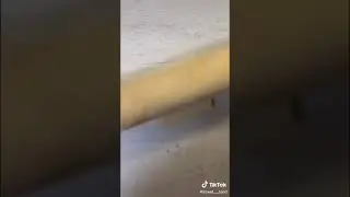фуршет дома за 2 тыс