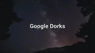1 Google Dorks