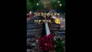 অবহেলা 💔