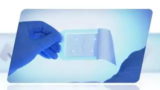 Bio Gide Perio коллагеновая мембрана от Geistlich