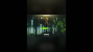 приколы мем I Ч3 I KGB I EFT I Tarkov Iлюбитель СКС! I 