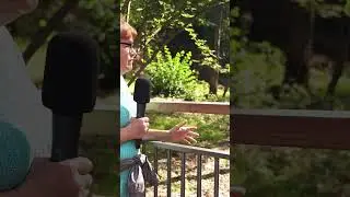 Эксперт раскрывает Тайну Уничтожения Ромашковского леса
