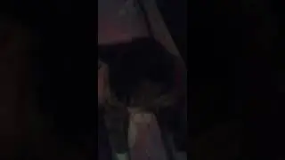 Мой кот как крот